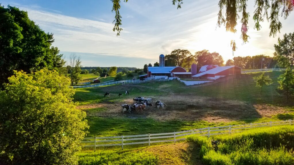 Farm