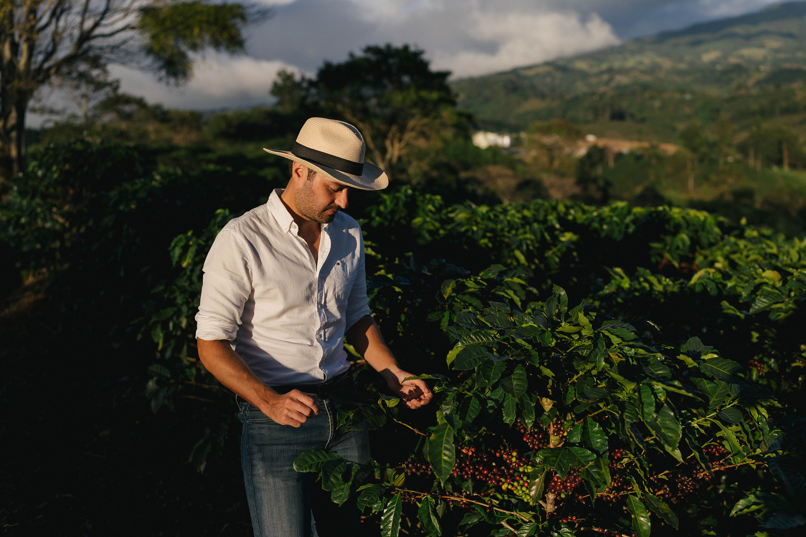 Starbucks partner in Costa Rica standing in the coffee farm